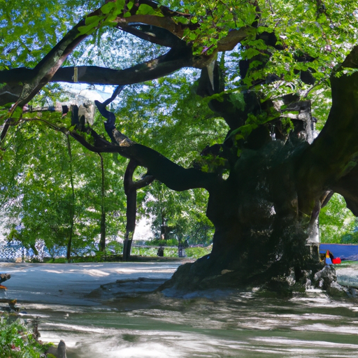 The History of Berlin's Oldest Trees